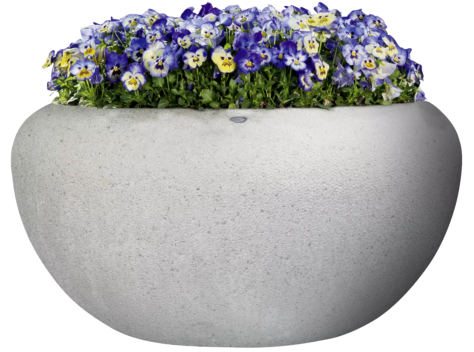 Vorschau: Pflanzbehälter VENERE Vorschau: Pflanzbehälter VENERE